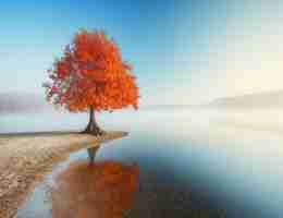 高​级‌审‌计﻿师‍网‌校﻿